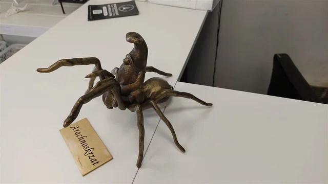 Гном Арахноскшат
