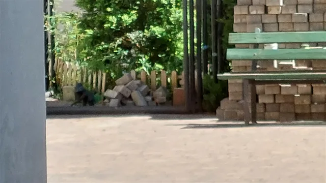 Гном Біньо
