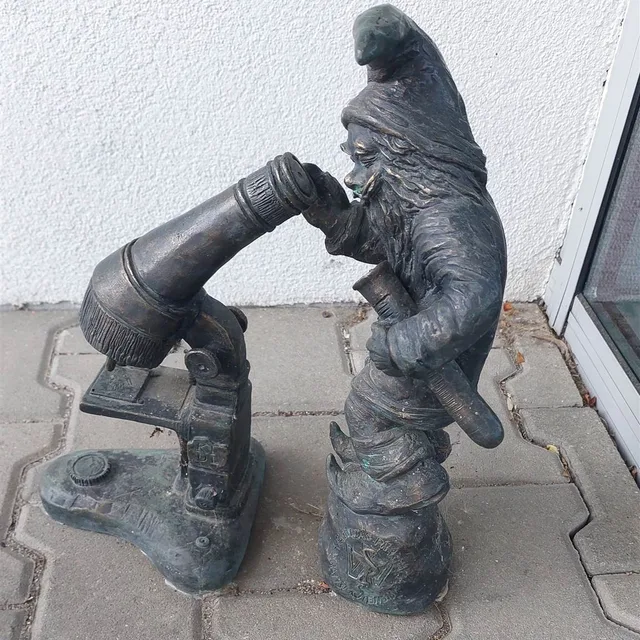 Гном Дыягнозіюш
