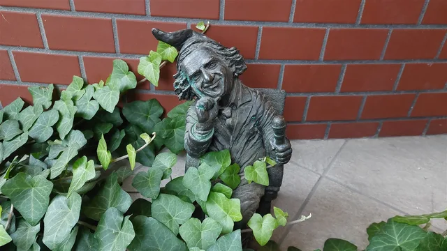 Гном Качмарусь