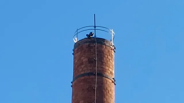 Zwerge auf dem Schornstein