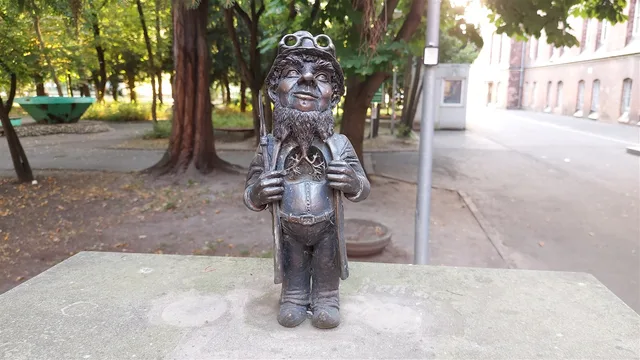 Płucek Dwarf