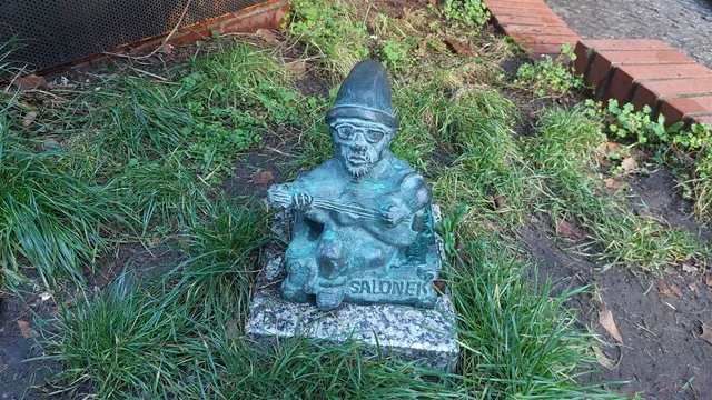Salonek Dwarf