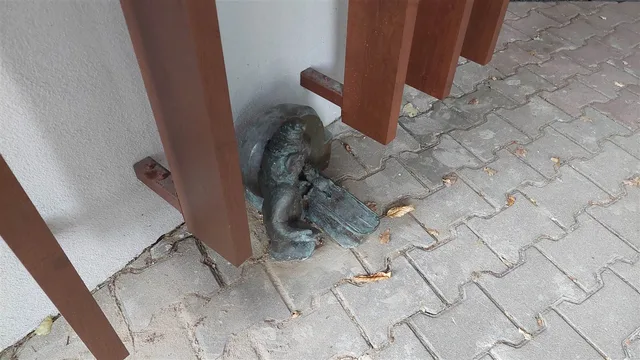 Гном тамограф