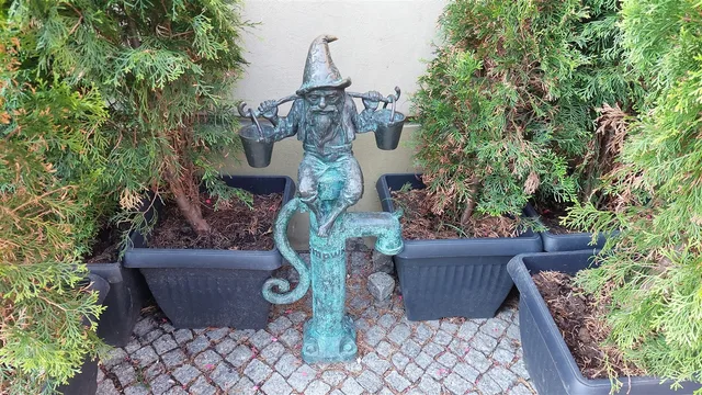 Water Carrier Dwarf